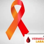 81d44c6b-d647-44a8-8504-65793b2687e2-1170x585