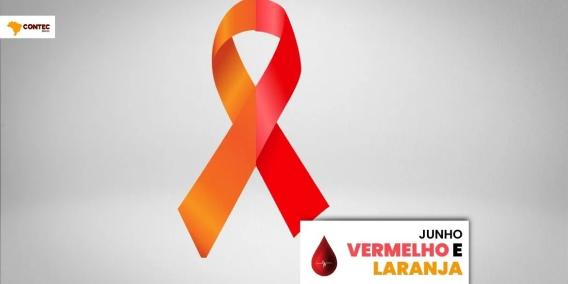 81d44c6b-d647-44a8-8504-65793b2687e2-1170x585